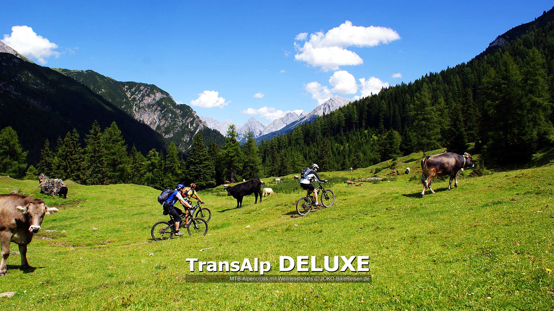 MTB-Alpencross ab Ehrwald/Garmisch zum Gardasee nach Riva in DELUXE/Wellness-Hotels