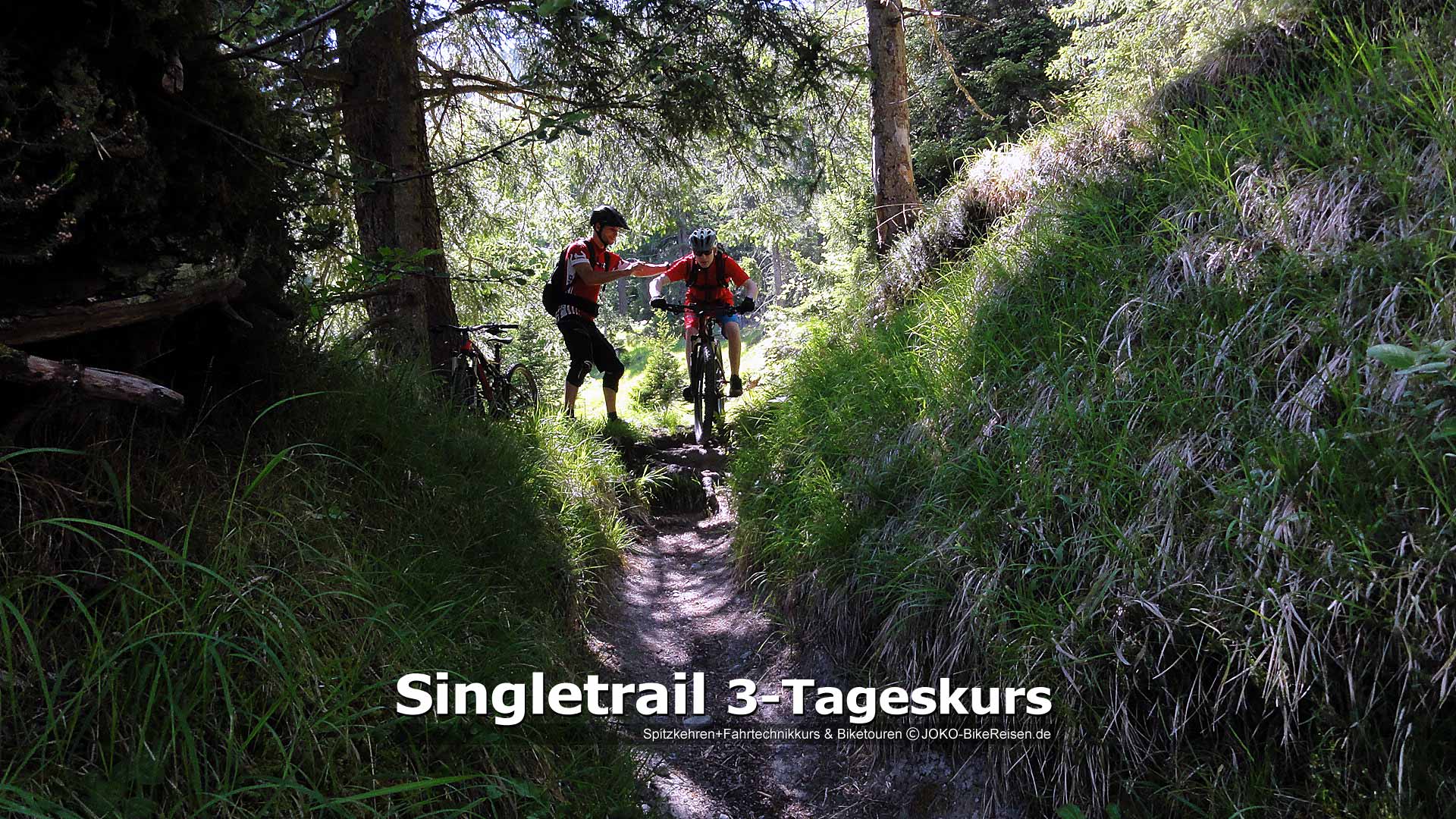 MTB-Singletrail 3-Tageskurs: Direkt nach enger Kurve folgt Wurzelabsatz im engen Trail. Halb so wild, mit den richtigen Tipps :)